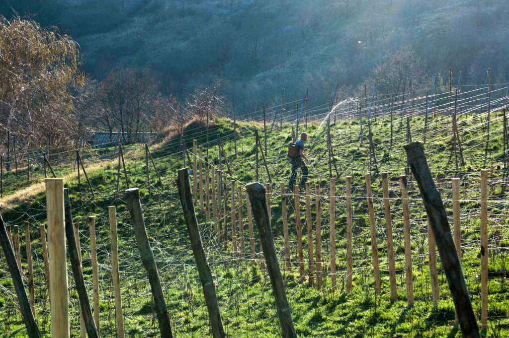 Immagine bd farmers