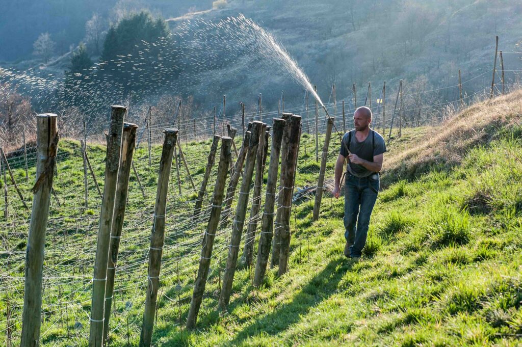 Immagine bd farmers